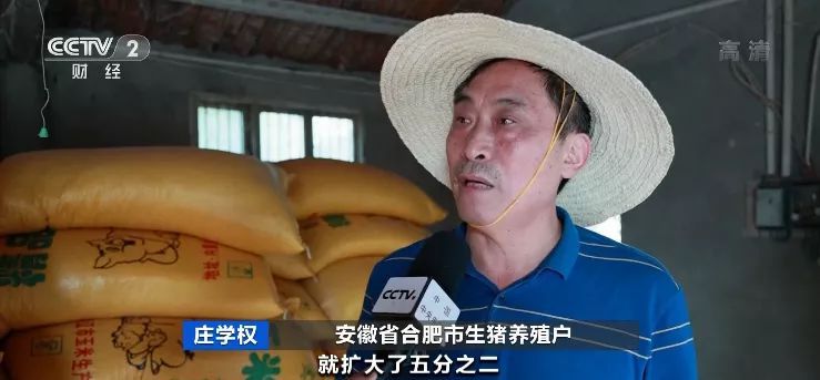 豬肉價格大跌！養一頭豬虧500元 接下來怎么走？