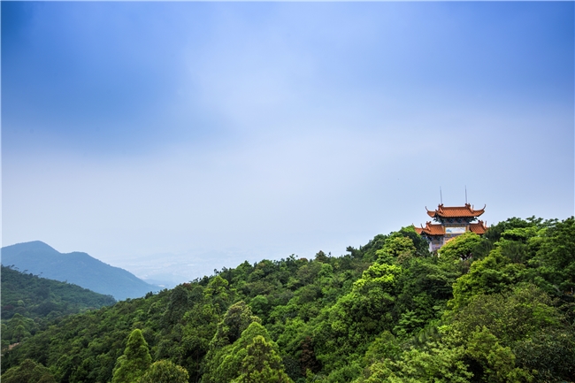 自然保護(hù)地整合優(yōu)化：廣東觀音山國家森林公園將何去何從