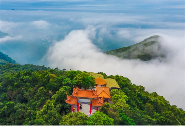 特色生態(tài)旅游的“觀音山模式”  ——廣東觀音山國家森林公園生態(tài)旅游品牌知名度逐年攀升