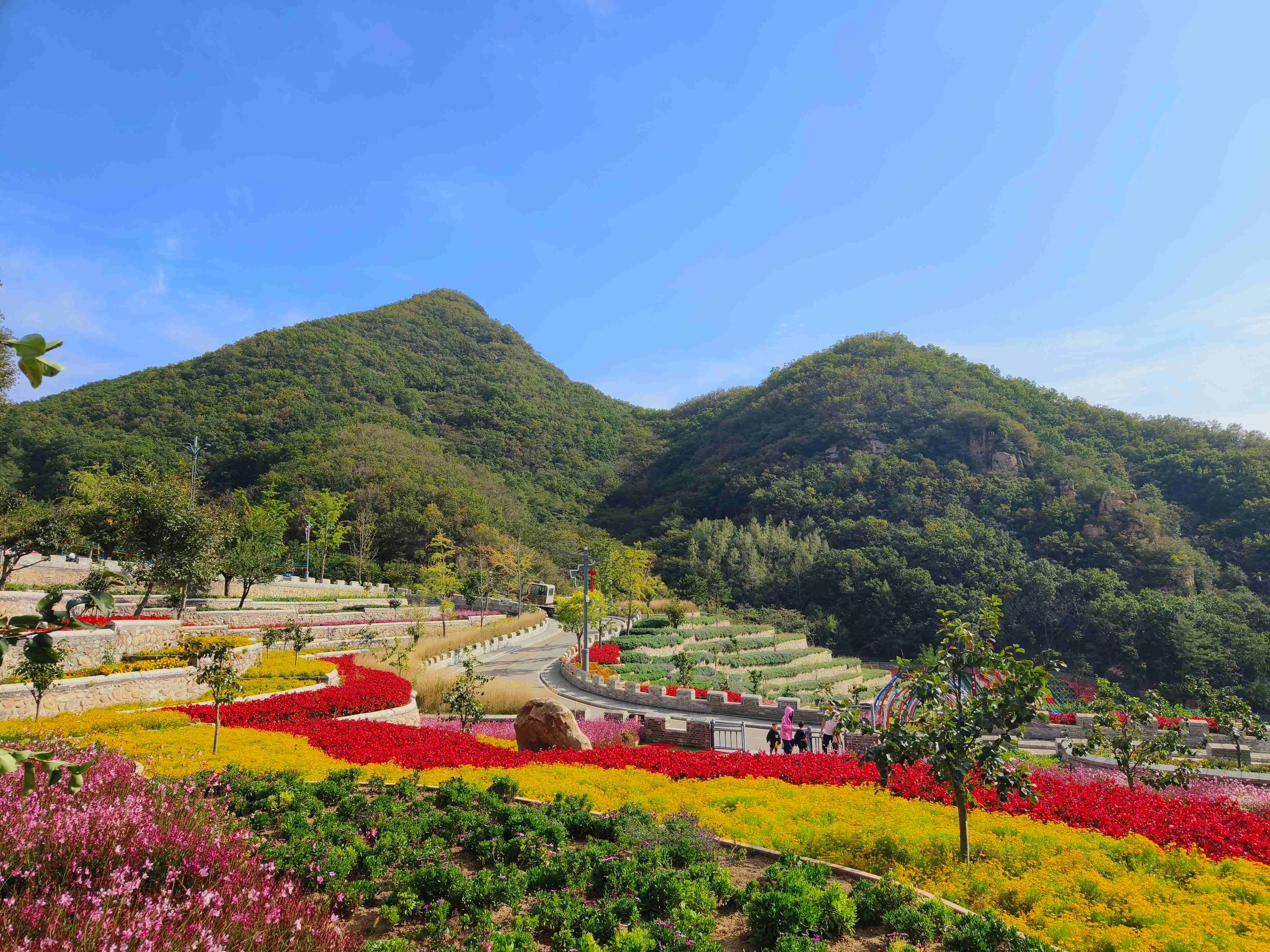 生態賦能文旅融合 平谷梨樹溝首屆梨花藝術節正式開啟！