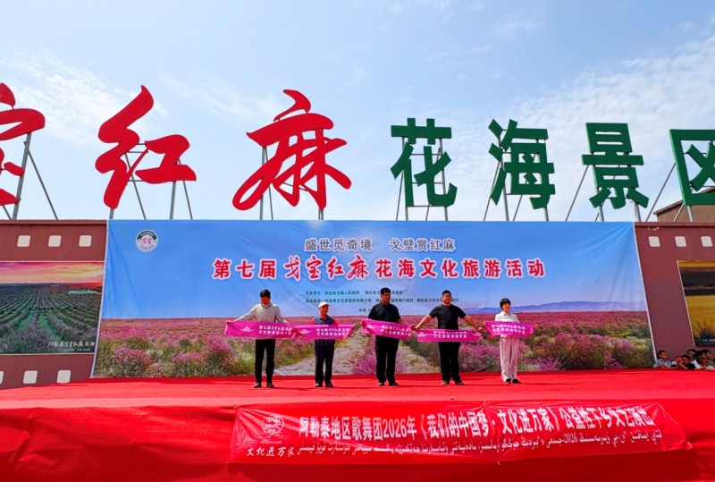 盛世覓奇境?戈壁賞紅麻！第七屆戈寶紅麻花海文化旅游節盛大開幕