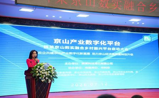 數實融合京山案例-輝萊搭建新一代縣域數字新基建，構建政企民GBC多方共贏產業新生態